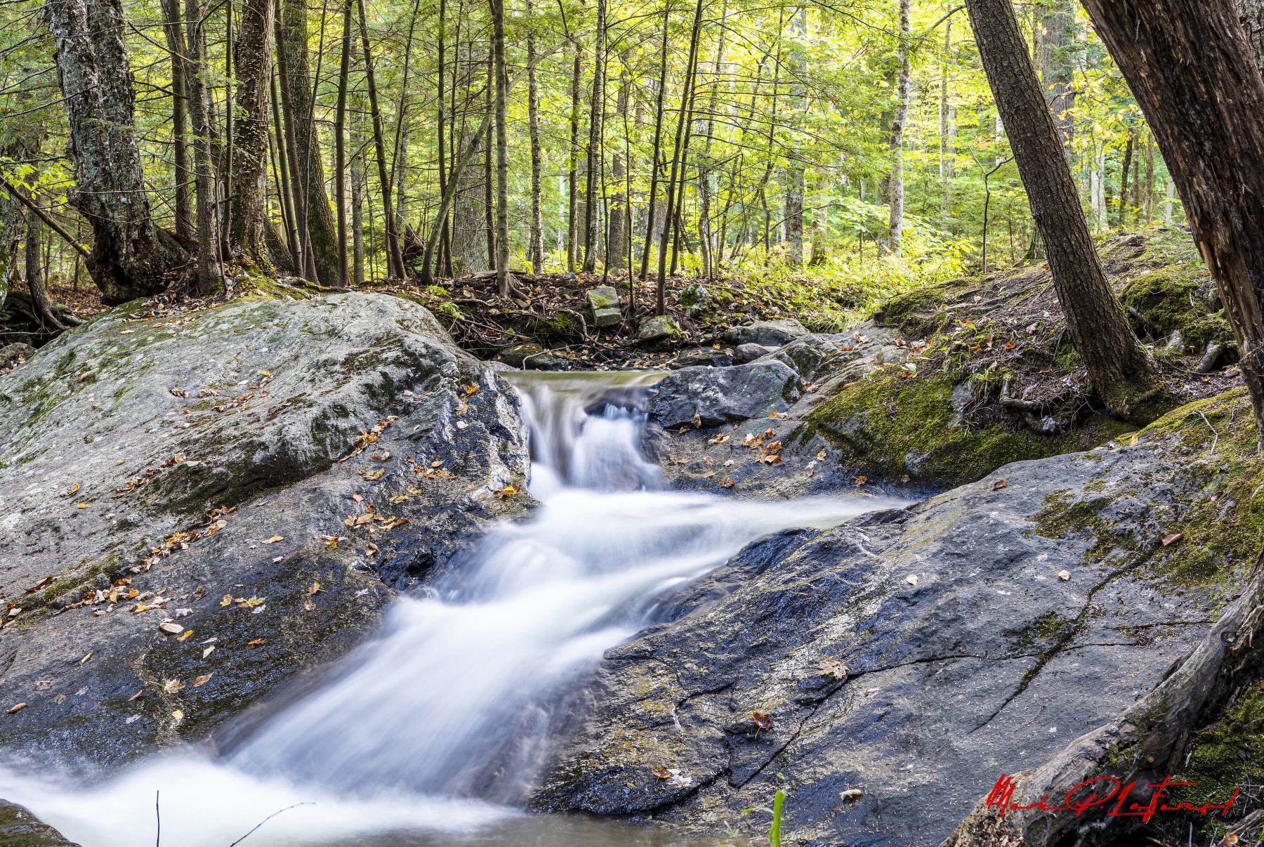 /gallery/north_america/USA/Vermont/killington/Thunder Brook Falls 2022-002_med.jpg